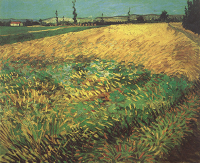 Wheat Field with the Alpilles Foothills in the Background (nn04)